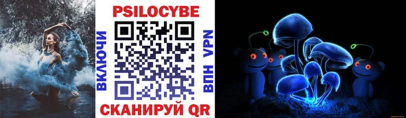 купить  сайты  Макарьев  Псилоцибиновые грибы Magic Shrooms 